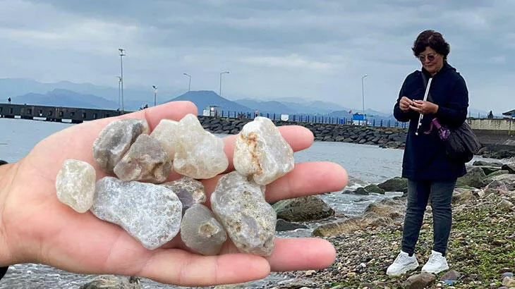 Sahilden topluyorlar! ‘Altın kadar değerli’