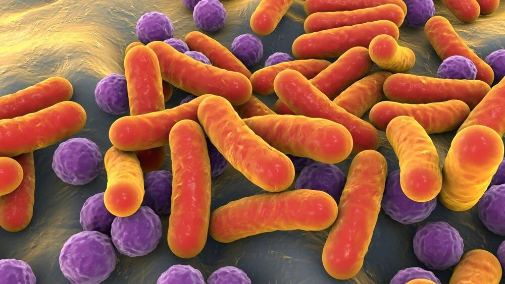 DNA analizi, Kara Veba’nın kaynağını ortaya çıkardı