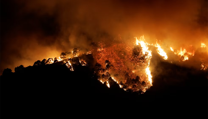 İspanya’daki orman yangınında 2 bin hektarlık alan kül oldu