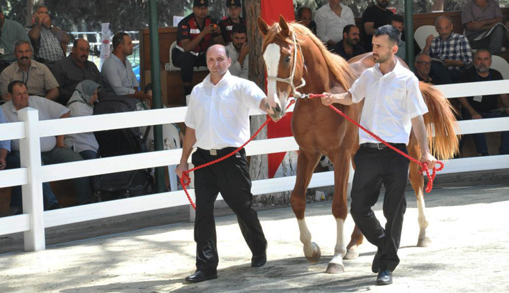 Bursa’da ev fiyatına tay