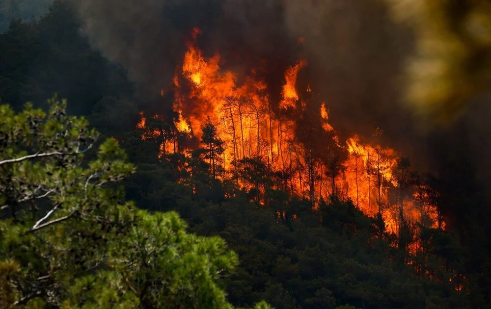Marmaris’te orman yangını: Müdahale devam ediyor