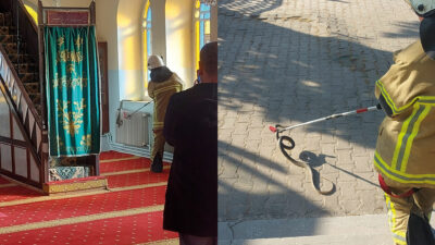 Bursa’da camide yılan paniği