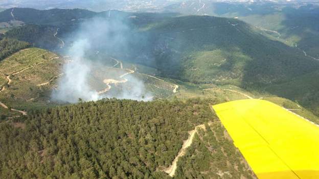 İzmir ve Manisa’da çıkan orman yangınları havadan ve karadan müdahaleyle söndürüldü
