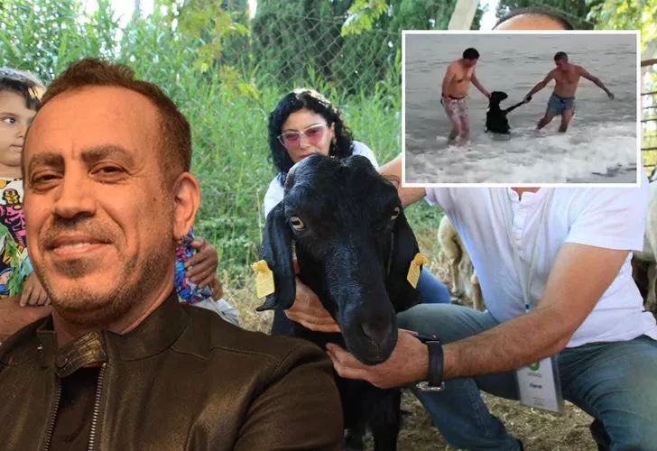 Haluk Levent o keçiyi satın aldı
