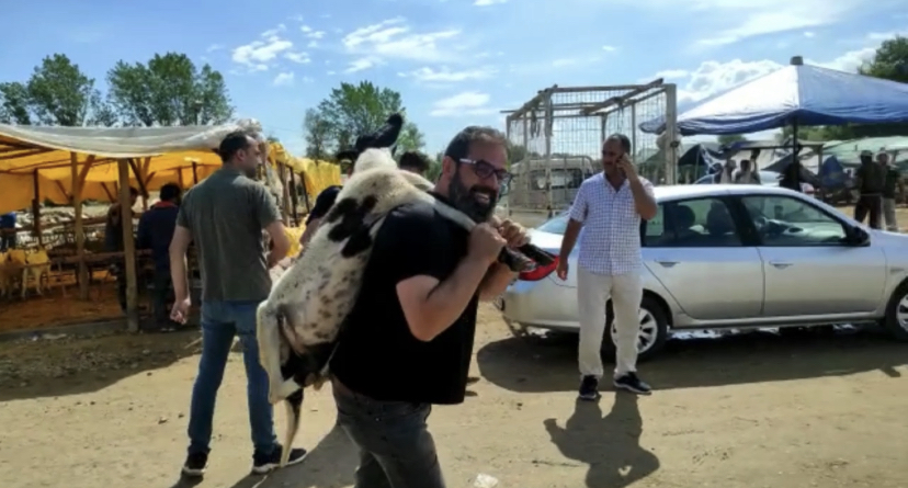 Bursa’da kurbanlık koyunu çocuğu gibi sırtında taşıdı