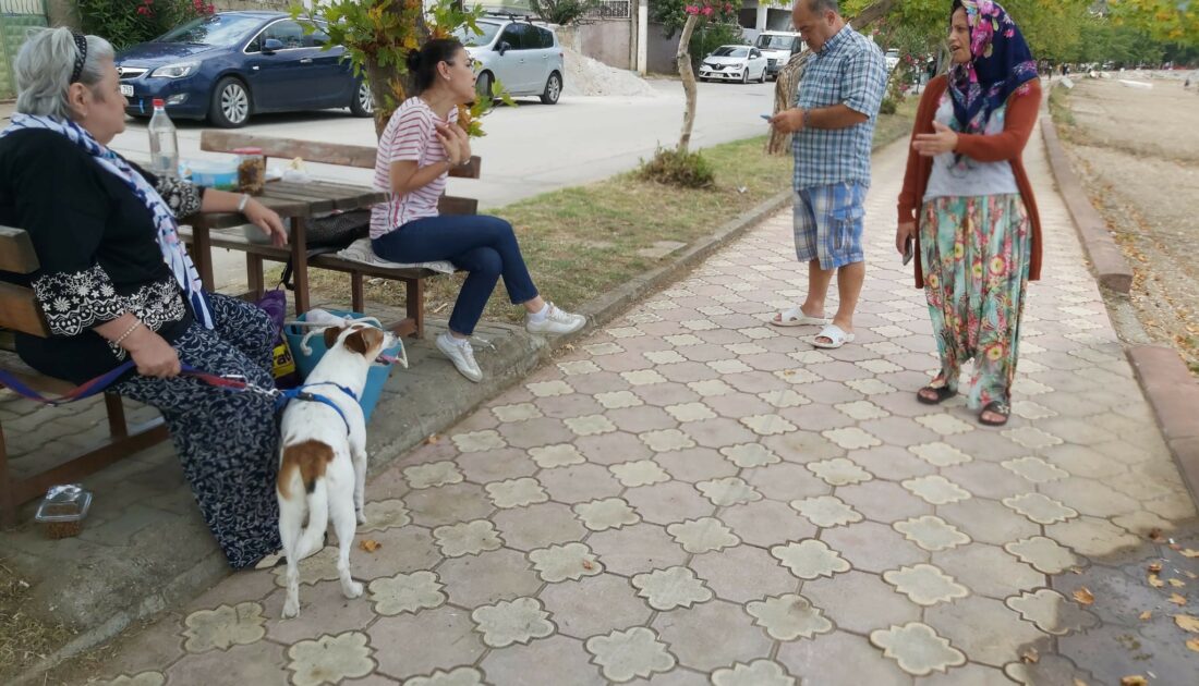 Bursa’da genç kız köpeğin saldırısına uğradı