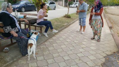 Bursa’da genç kız köpeğin saldırısına uğradı