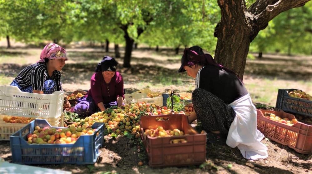Asgari ücretin altında işçi çalıştıranlara yasal işlem Asgari ücretin altında işçi çalıştıranlara yasal işlem