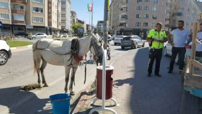 Bursa’da başıboş at trafiği altüst etti