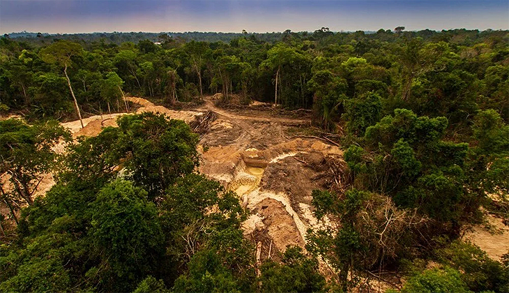 Amazonlar’da ormansızlaşma rekor kırdı