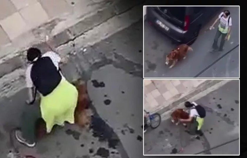 Köpeğine vurup, tasmasını çekişirdi! İsyan ettiren görüntü