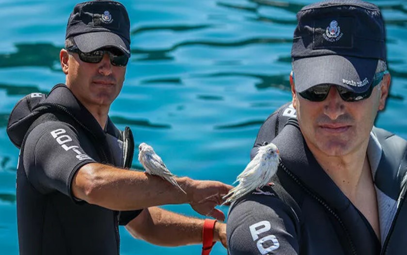 Denize düşen muhabbet kuşunu polis, jet-ski ile kurtardı
