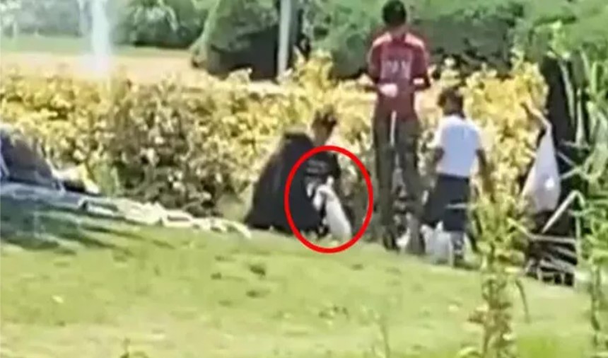 Ördekleri çantasına koydukları iddia edilen kadın konuştu