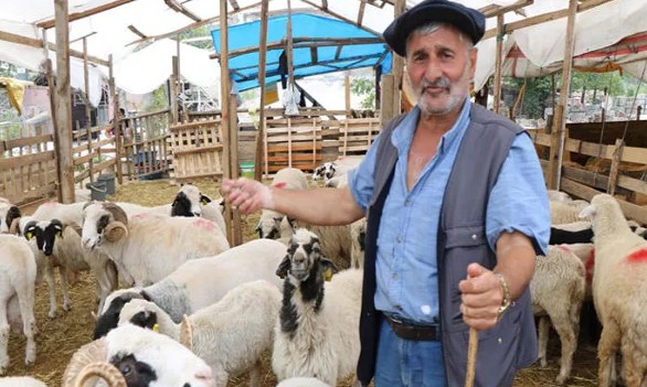 Besicilerin bayram mesaisi: ’32 büyükbaşla gelmiştim 5’i kaldı’