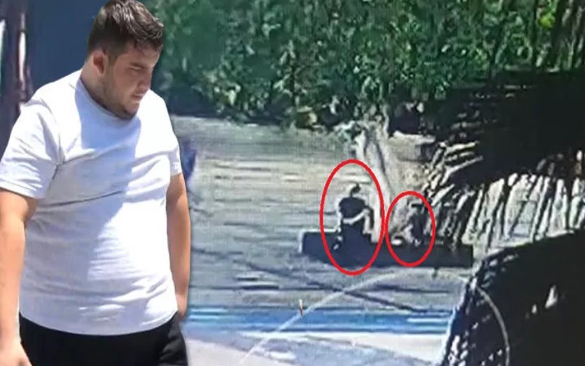 Ağacın kurutulmasıyla ilgili daire başkanı ile 2 kişiye gözaltı