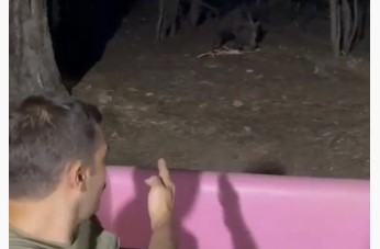 Uludağ’da bahçesine gelen ayıyla konuştu, o anlar kameralarda