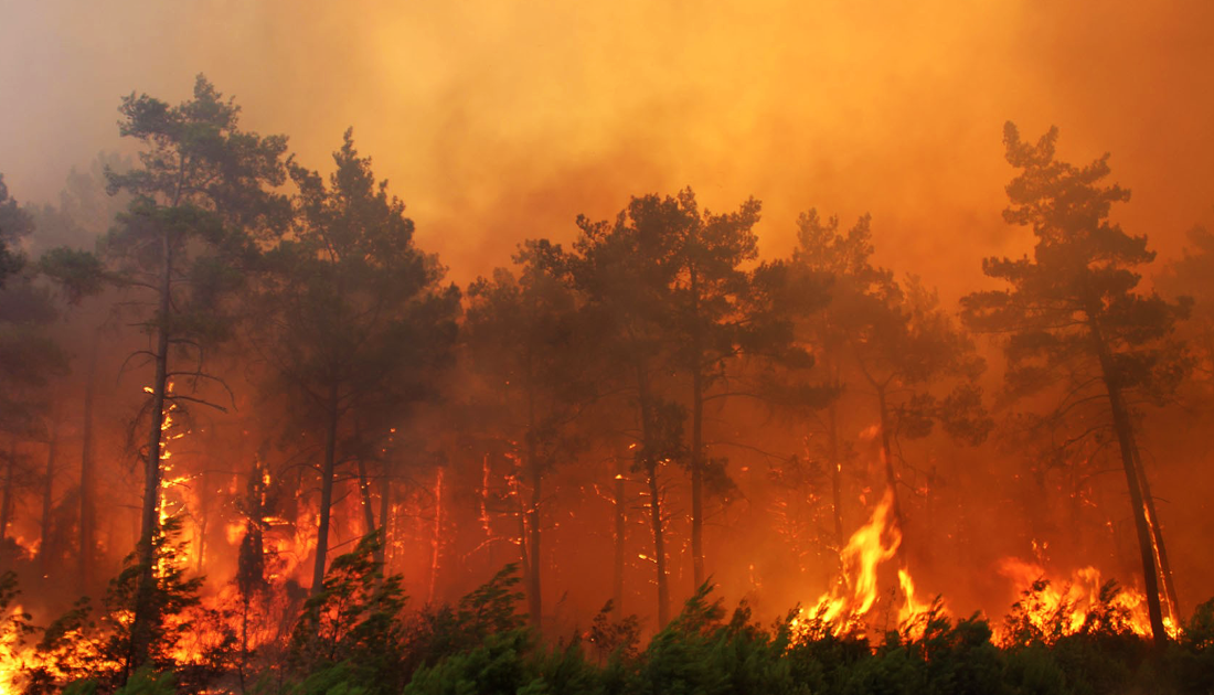 AFAD’dan Bursa dahil 6 il için ‘orman yangını’ uyarısı