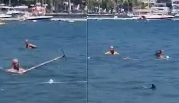 Marmaris’te köpekbalığı zannedilerek paspasla kovalanan balık, Akdeniz Zarganası çıktı