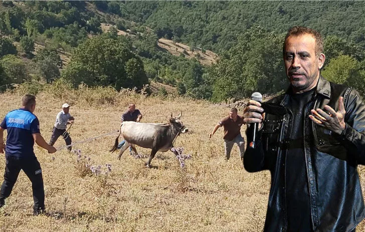25 gün kaçan boğa yakalandı, Haluk Levent harekete geçti
