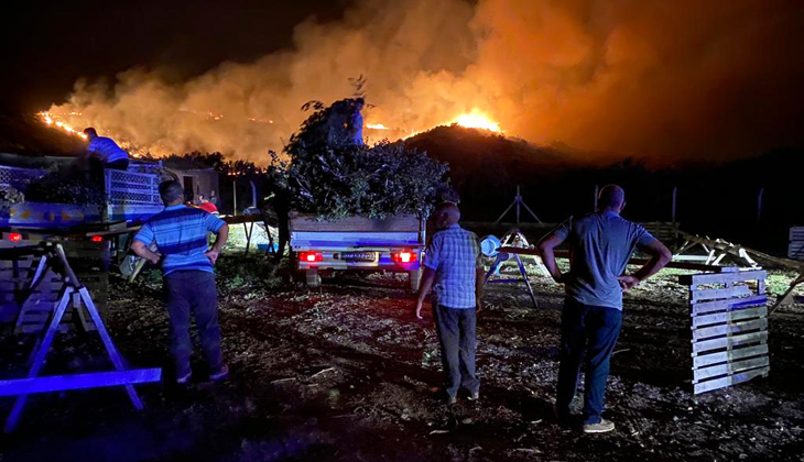 Aydın’daki orman yangını kontol altında