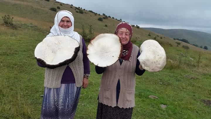Yaylada gezerken buldu, görenler gözlerine inanamadı