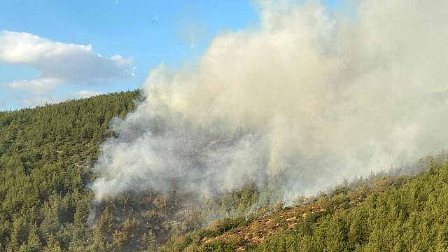 Balıkesir’de orman yangını: Havadan ve karadan müdahale ediliyor