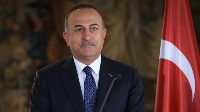 Çavuşoğlu, Gürcistan Dışişleri Bakanı ile görüştü
