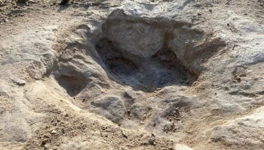 Sular çekilince 113 milyon yıllık izler ortaya çıktı