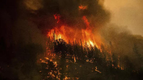 California yangınlarla boğuşuyor