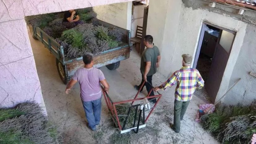 Kilosu 450 lira… Köylüler üretiyor dünyaya satıyor