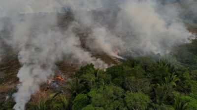 Dünyanın akciğerleri alarm veriyor: Amazonlardaki kayıp rekor seviyeye ulaştı