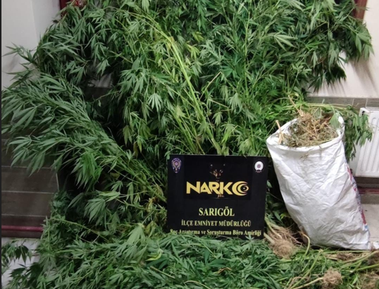 Manisa’da 1 kilo 784 gram esear yakalandı