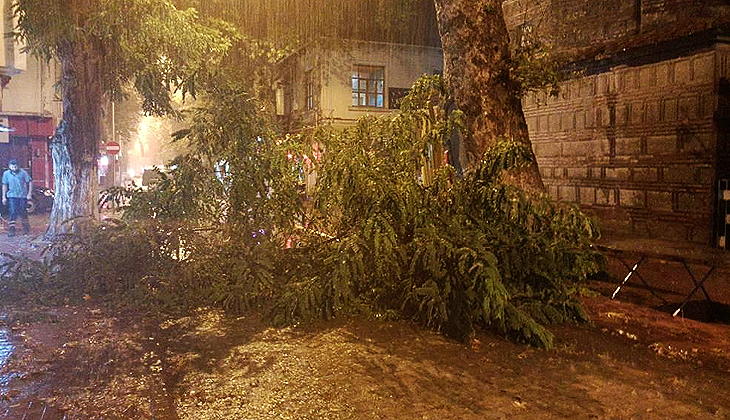 Şiddetli rüzgar Bursa’da yüzyıllık ağacı devirdi