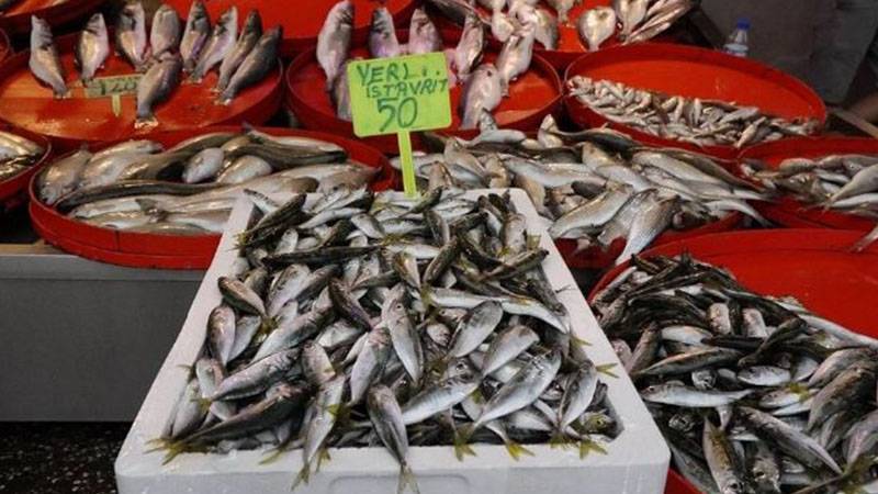 Karadeniz’de istavrit bolluğu: Fiyatı yarıya düştü
