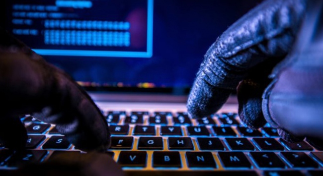 Japonya hükümetinin internet portalına siber saldırı