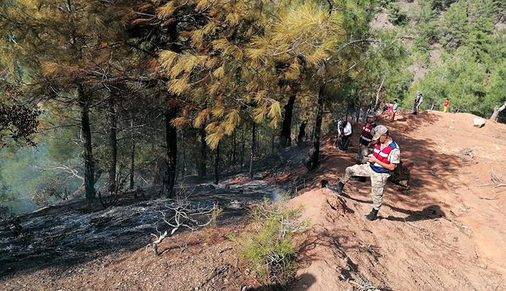 Hatay’da orman yangını