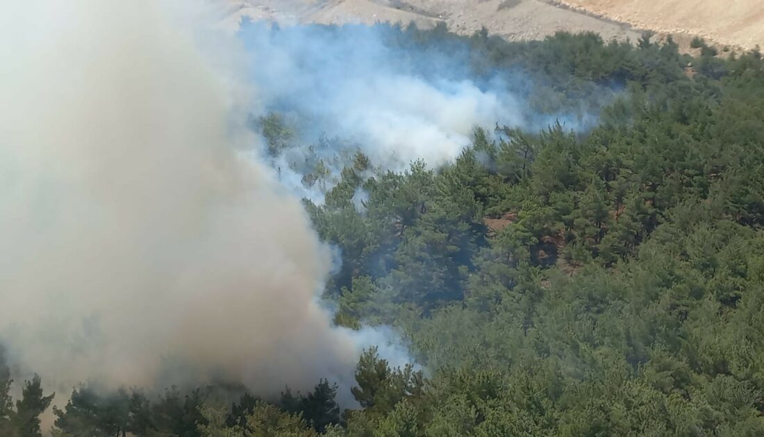 Soma’daki orman yangını kontrol altında