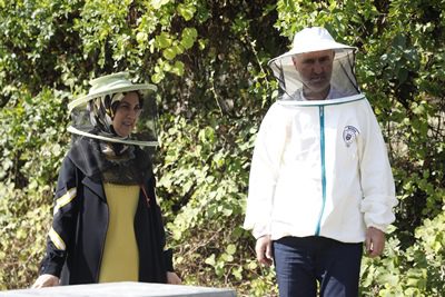 İnegöl’de bal hasadı başladı