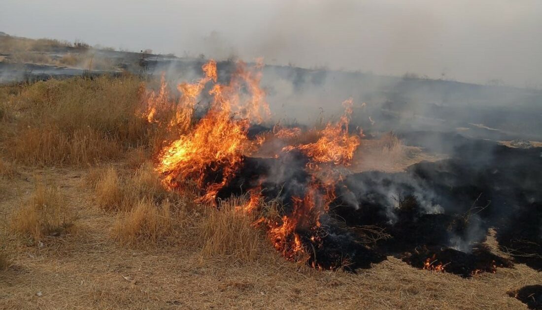 Adır Adası’ndaki yangın bugün tekrar başladı