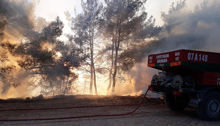 Antalya’da orman yangını