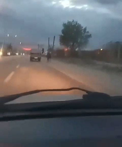 Hayvanlara eziyet devam ediyor! Bursa’da tepki çeken görüntü