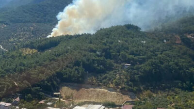 Bursa’nın Orhaneli ilçesinde orman yangını