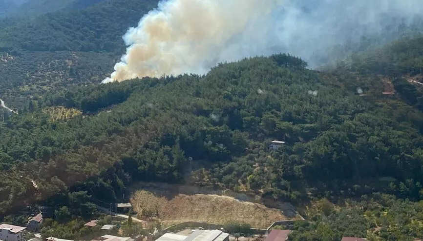 Bursa’nın Orhaneli ilçesinde orman yangını