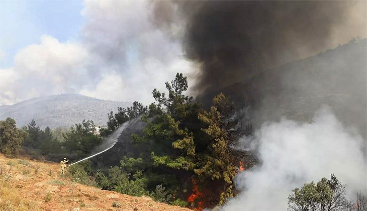 Tarım ve Orman Bakanlığı: Mersin’deki orman yangınında kontrol altına alma çalışmaları sürüyor