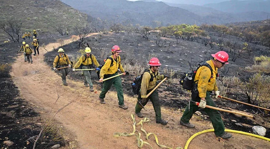 California’daki orman yangınında 19 bin hektarlık alan kül oldu