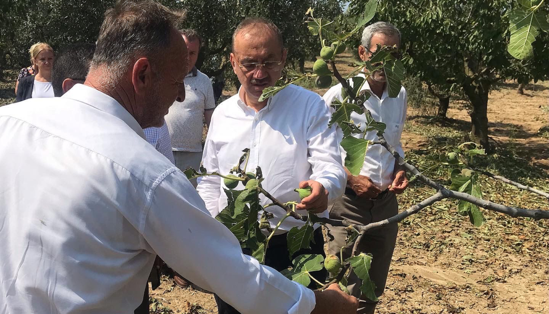 Tatlıoğlu: Bursalı çiftçinin zararı büyük, bölge ‘Afet Bölgesi’ ilan edilmeli
