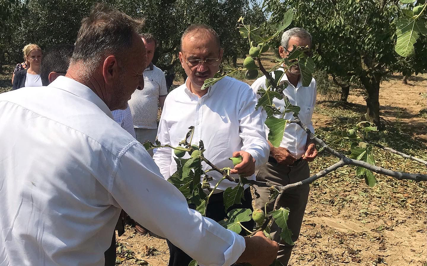 Tatlıoğlu: Bursalı çiftçinin zararı büyük, bölge ‘Afet Bölgesi’ ilan edilmeli