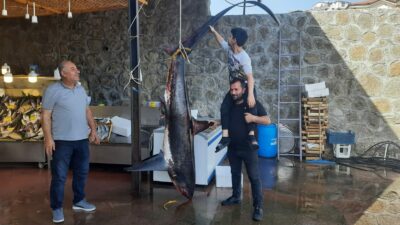 350 kiloluk camgöz köpek balığı yakaladı