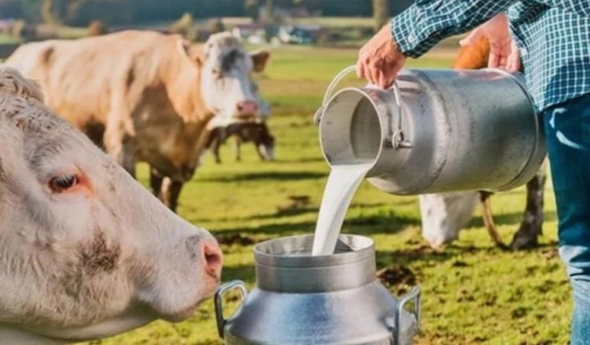 Çiğ süt destekleri ödeniyor! Süt üreticisi 1 liralık desteği son kez alacak