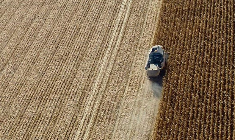Çiftçiye 1.7 milyar liralık destek ödemesi: Hangi destekler ödenecek?